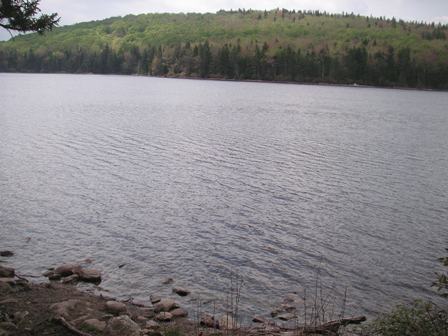 across Grout Pond